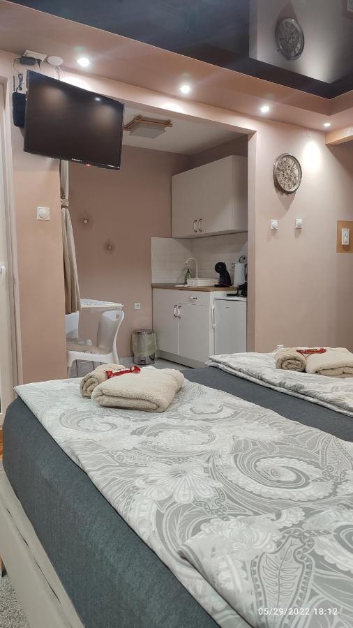 Iva Lux Apartman Zaječar Exterior foto